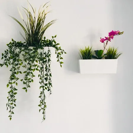 Il Sogno Aircon&english Channels