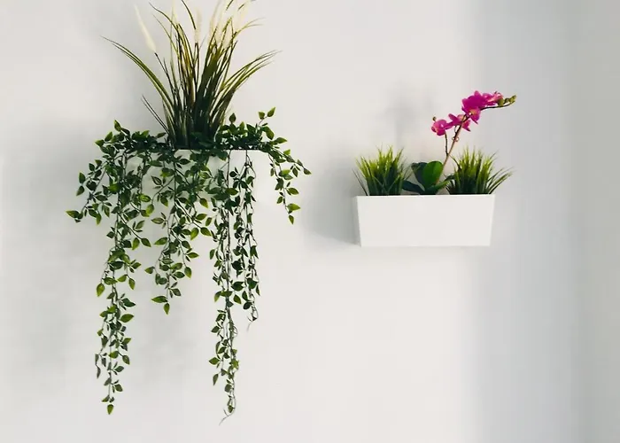 Il Sogno Aircon&english Channels